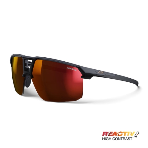 Gray/Shiny Dark Brown