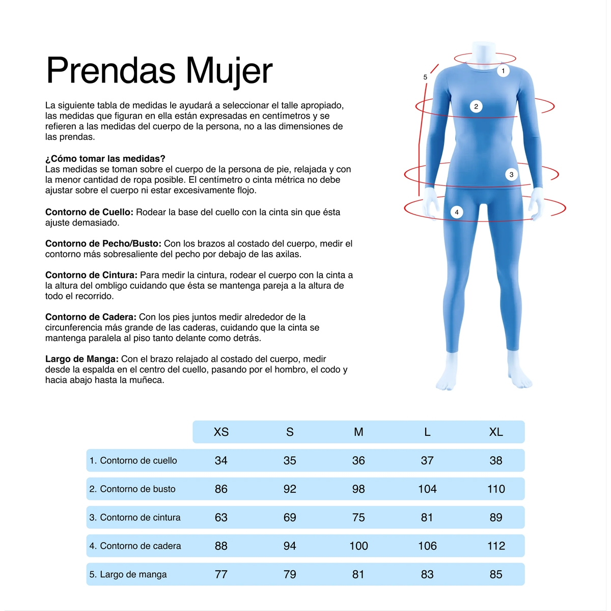 Camiseta Ansilta Jasa 2 Pontetorto Merino Tecnowool Interior Mujer