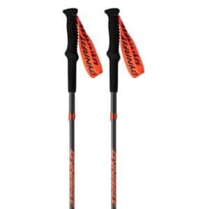 Baston Dynafit Transalper Pro Carbon 130 cm
